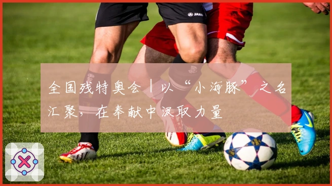 全国残特奥会｜以“小海豚”之名汇聚，在奉献中汲取力量