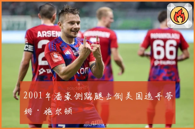 2001年潘豪侧踹腿击倒美国选手蒂姆·施尔顿