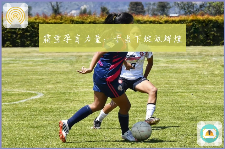 霜雪孕育力量，于当下绽放辉煌