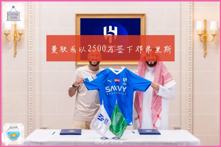 曼联或以2500万签下邓弗里斯