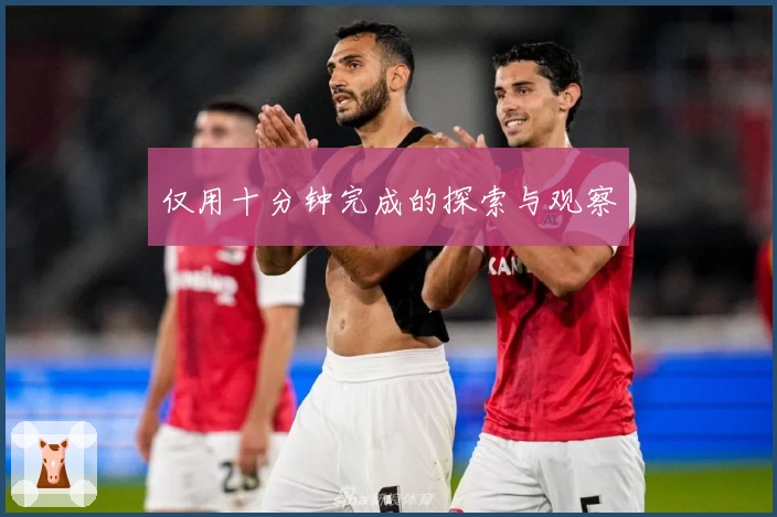 仅用十分钟完成的探索与观察