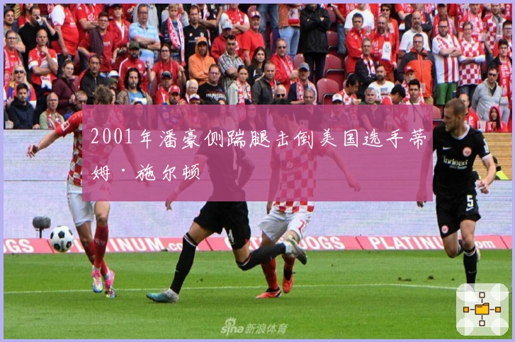 2001年潘豪侧踹腿击倒美国选手蒂姆·施尔顿