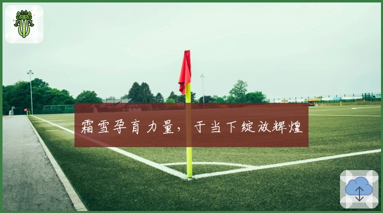 霜雪孕育力量，于当下绽放辉煌