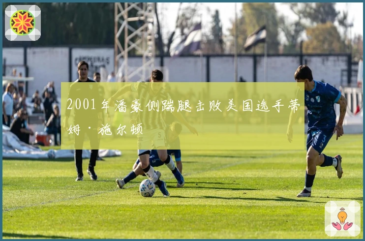 2001年潘豪侧踹腿击败美国选手蒂姆·施尔顿